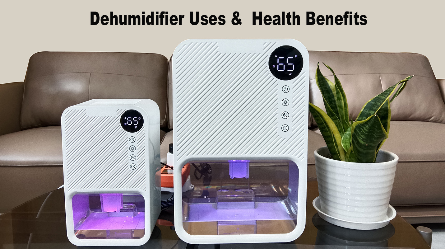 Dehumidifier Uses and Health Benefits